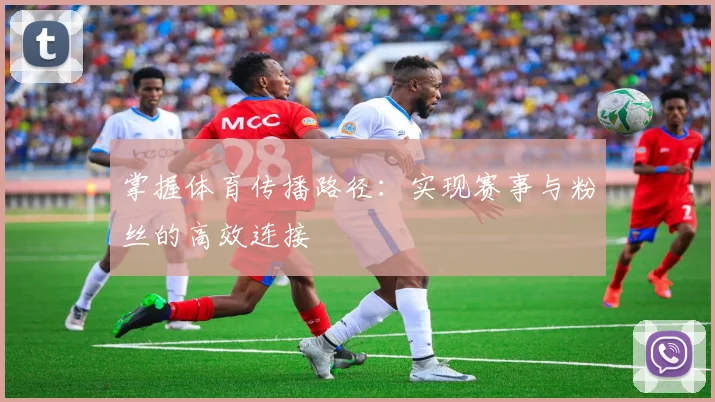 掌握体育传播路径：实现赛事与粉丝的高效连接